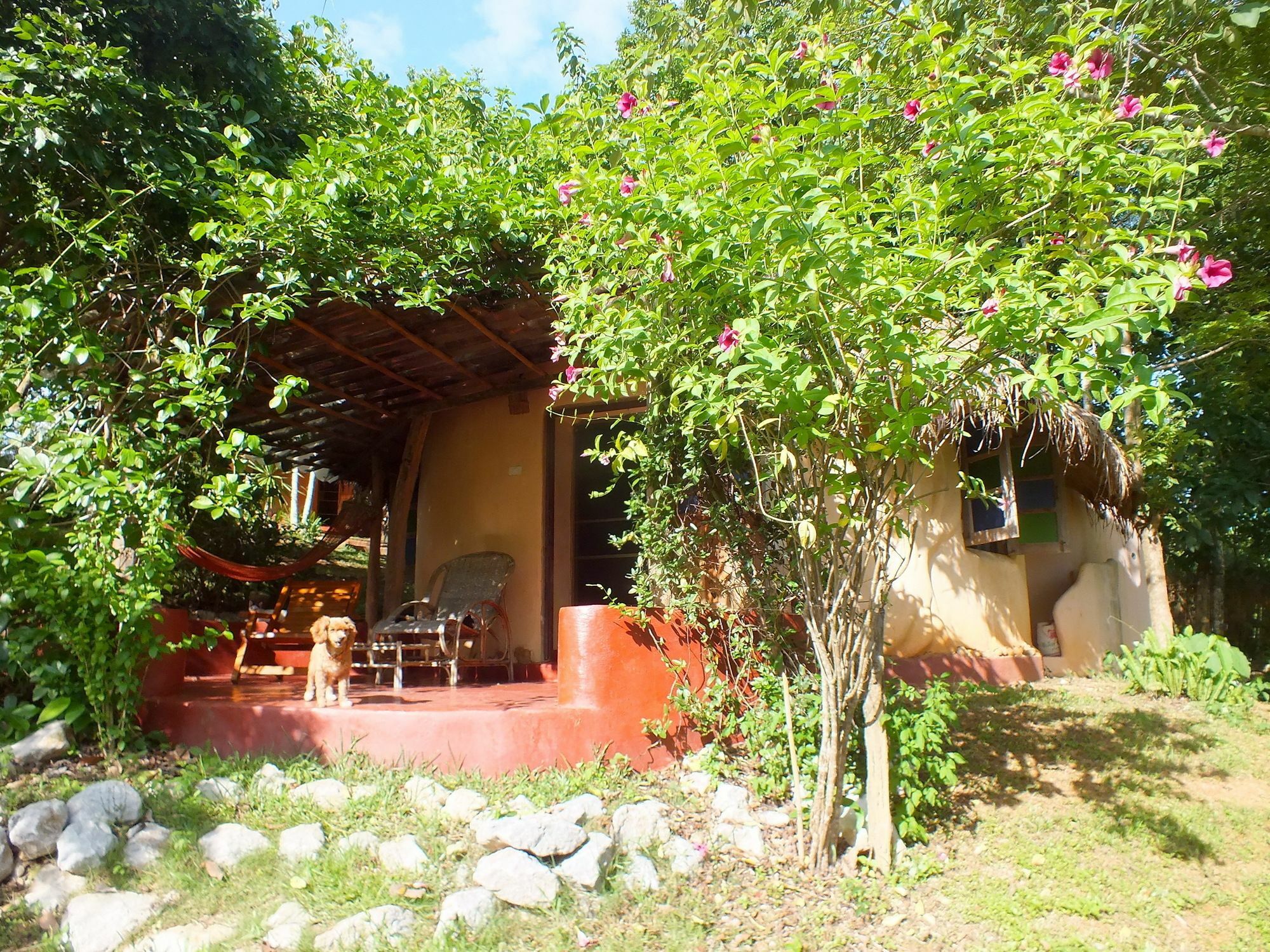 Chiang Dao Roundhouses Exterior photo
